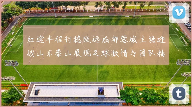 红途半程行稳致远成都蓉城主场迎战山东泰山展现足球激情与团队精神